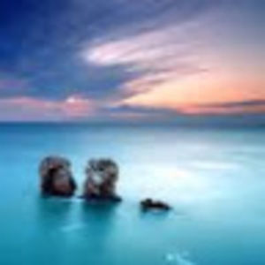 Meet your Posher, Izzy